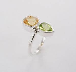 Elements Two Stone Rings Ai151