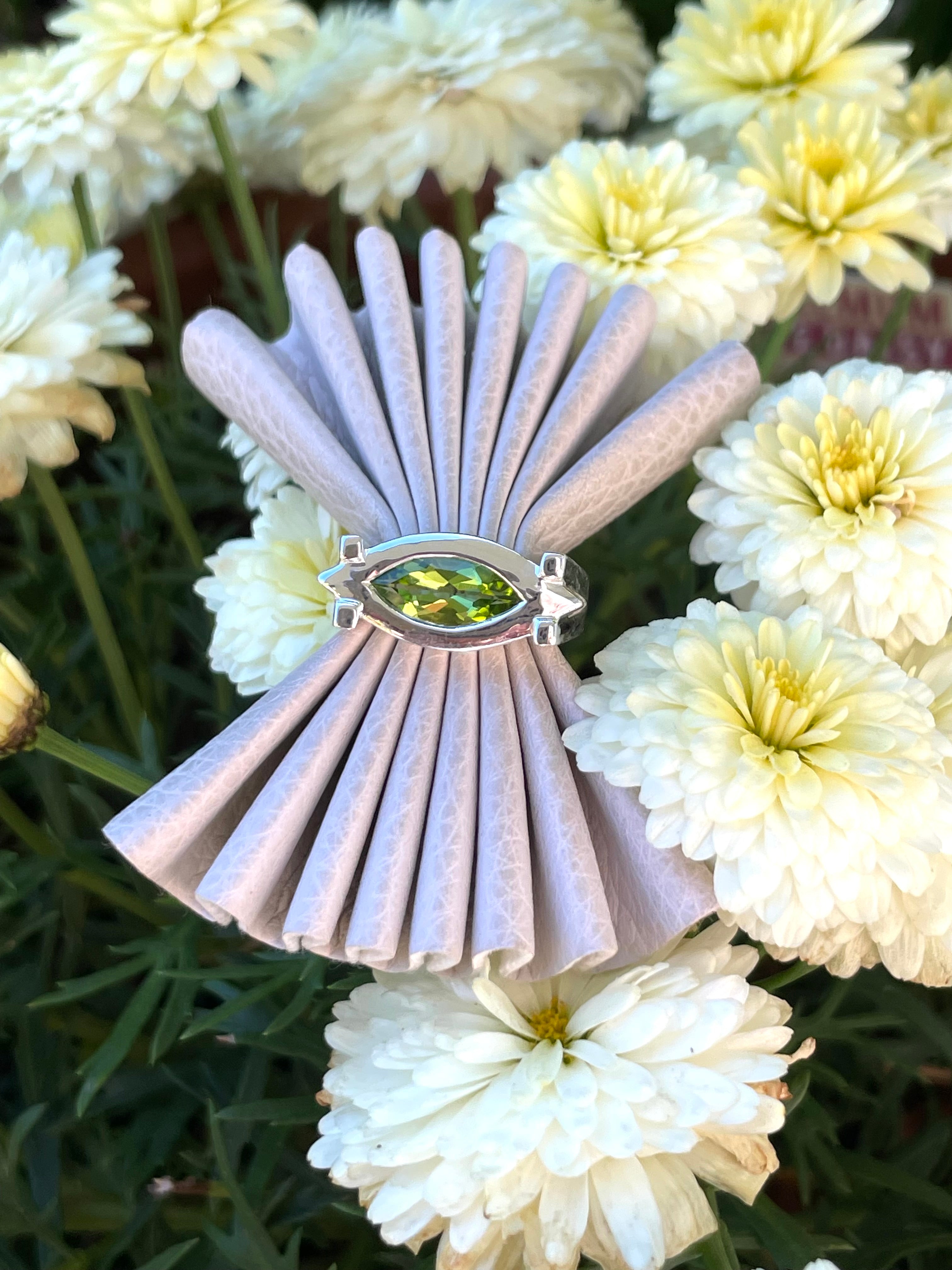 Split band Ring Ai114
